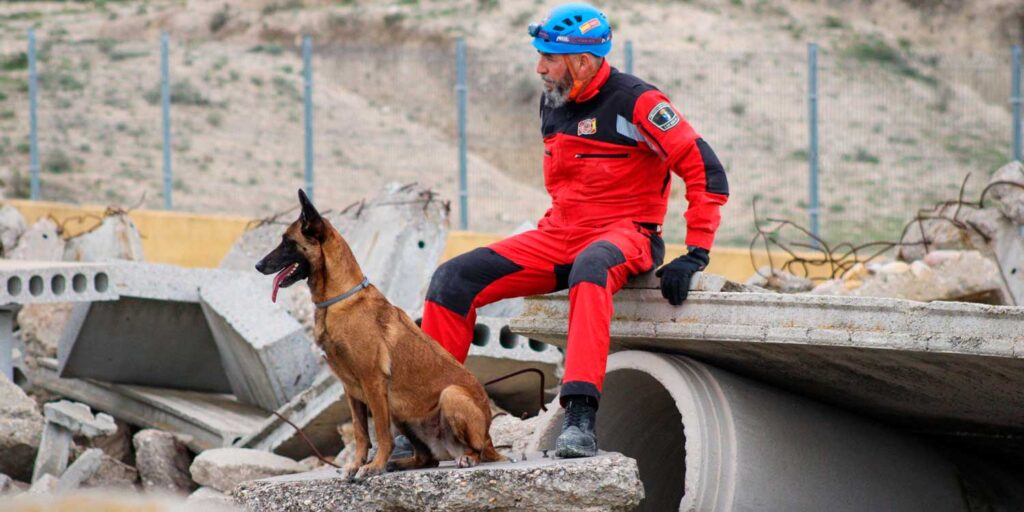 perros de rescate